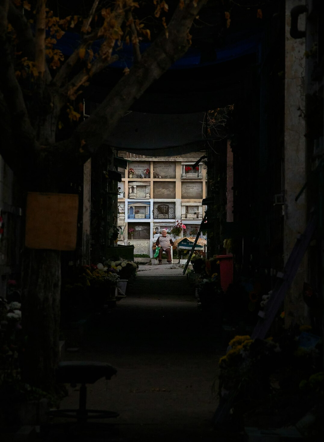 santiago chile street scene