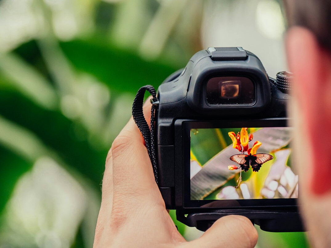 photographer taking pictures
